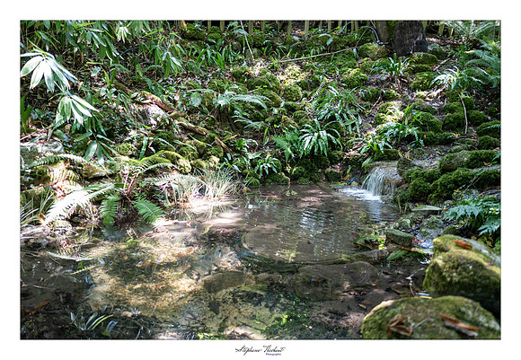 Domaine de Chaumont