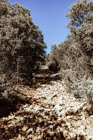 Randonnée à Garéoult
