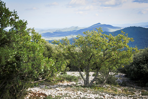 Randonnée à Garéoult