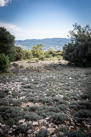 Randonnée à Garéoult