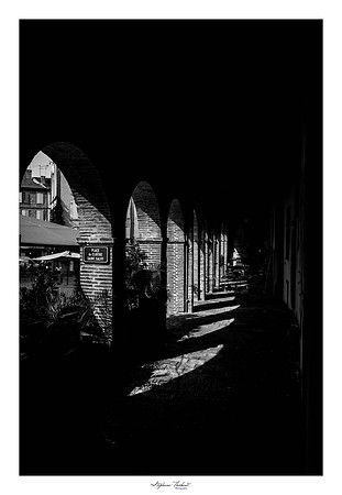 Une journée à Albi (81)