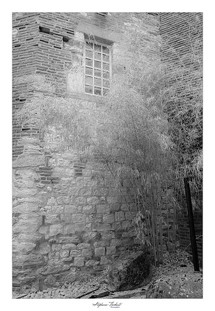 Une journée à Albi (81)