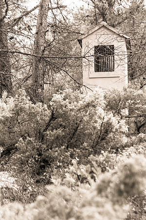 En Montant vers Saint-Probace à Tourves