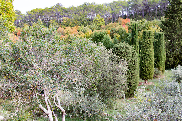 Lumières d'automne à Tourves