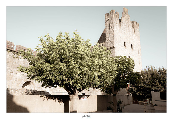 Carcassonne