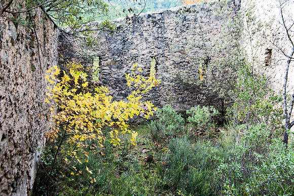 Lumières d'automne à Tourves