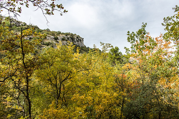 Lumières d'automne à Tourves