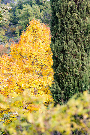 Lumières d'automne à Tourves