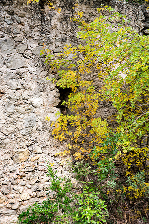 Lumières d'automne à Tourves