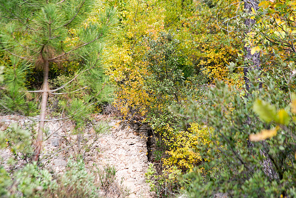 Lumières d'automne à Tourves