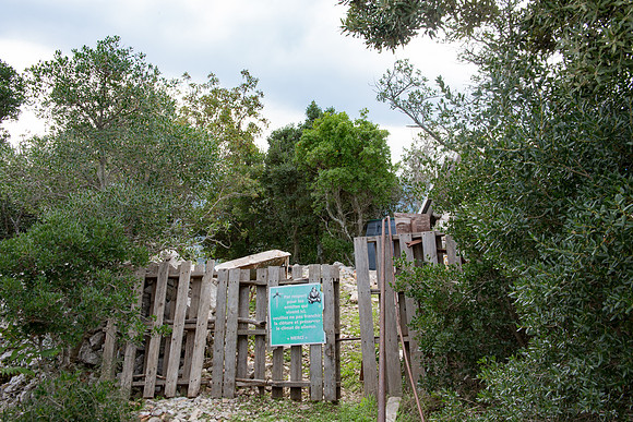 La Chapelle Saint-Probace à Tourves