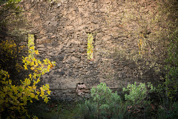 Lumières d'automne à Tourves