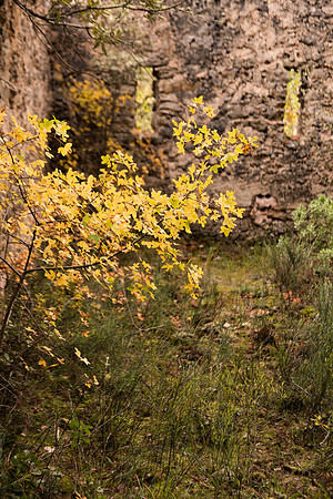 Lumières d'automne à Tourves