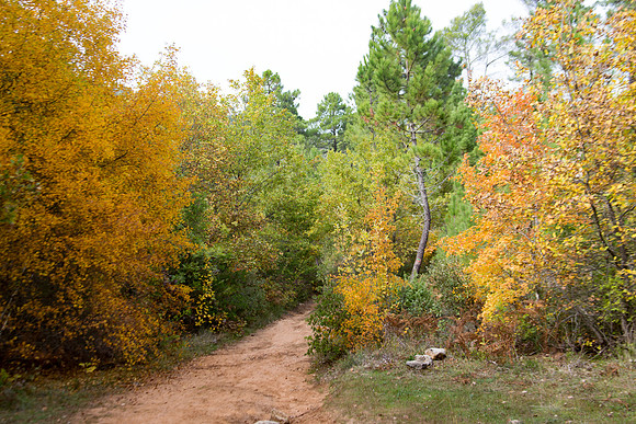 Lumières d'automne à Tourves