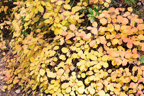 Lumières d'automne à Tourves