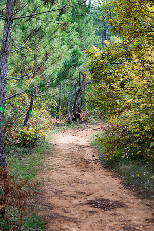 Lumières d'automne à Tourves
