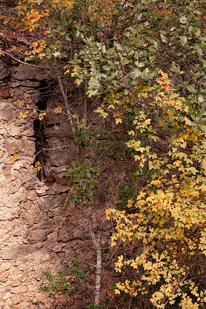 Lumières d'automne à Tourves