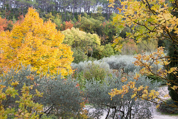 Lumières d'automne à Tourves