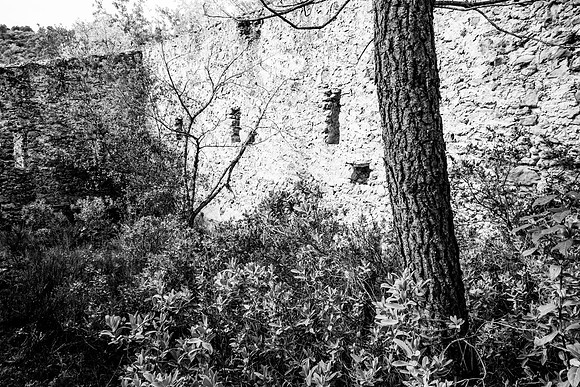 Lumières d'automne à Tourves