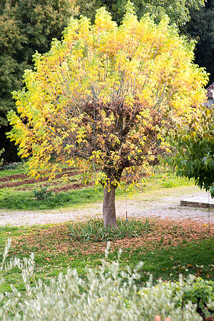 Lumières d'automne à Tourves