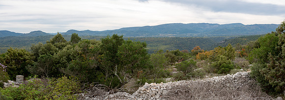 La Chapelle Saint-Probace à Tourves