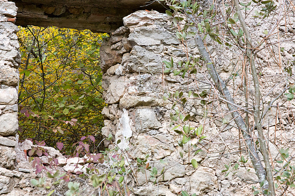 Lumières d'automne à Tourves