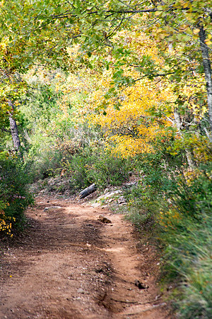 Lumières d'automne à Tourves
