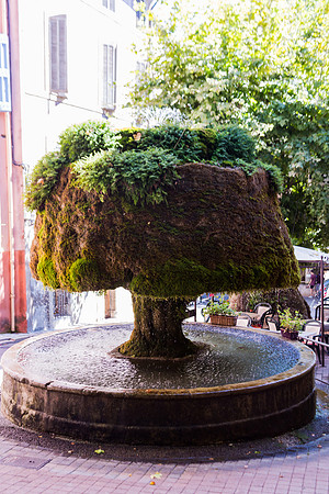 Fontaine recouverte de mousse à Barjols