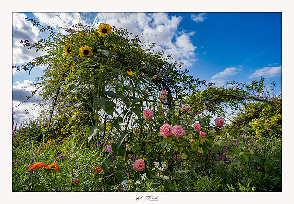 Giverny