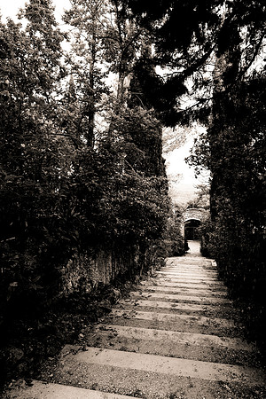Une image de Cotignac