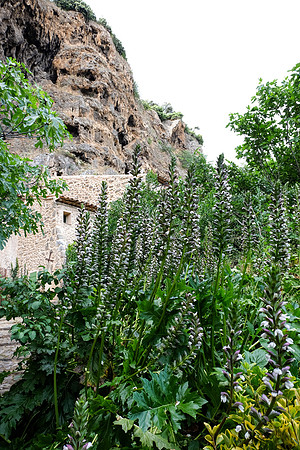 Une image de Cotignac