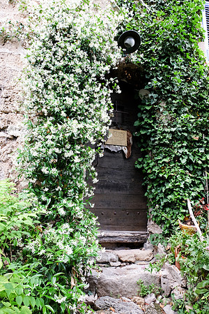 Une image de Cotignac