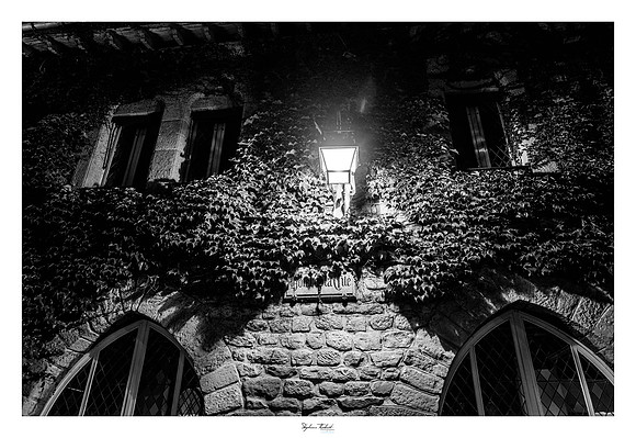 Carcassonne