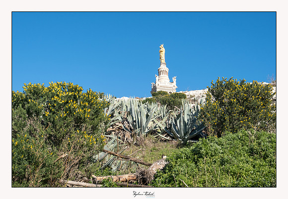 Tout Marseille