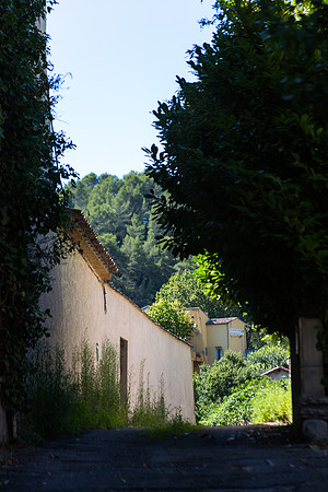 Un chemin à Barjols