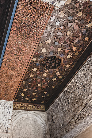La Alhambra de Grenade: Les Palais Nasrides