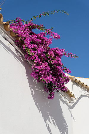 Image d'Osuna