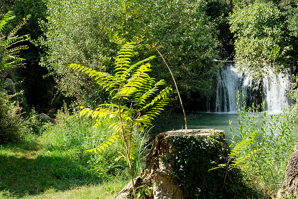 Le Tombereau de Bras