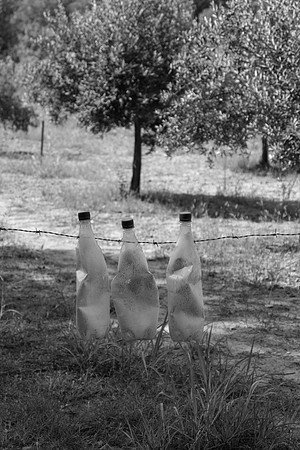 Une rando à Carcès