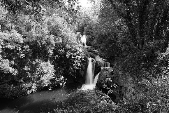 Une rando à Carcès