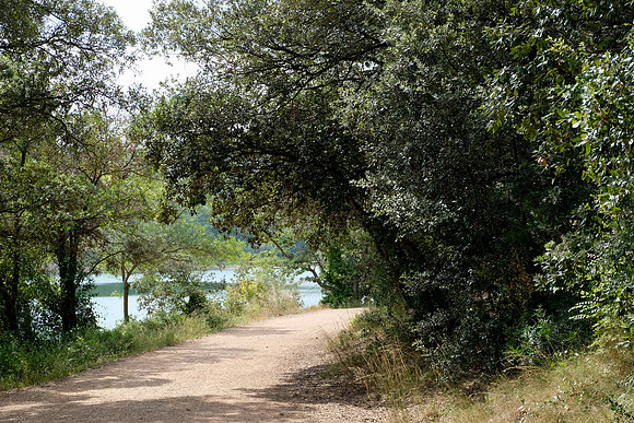 Une rando à Carcès