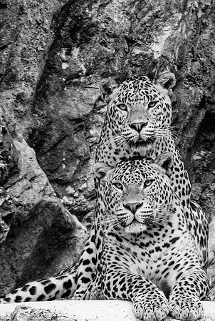 Zoo de La Barben 2018