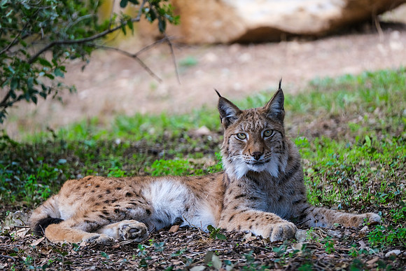 Zoo de La Barben 2018