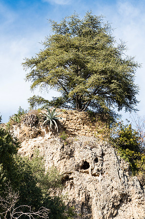 Barjols 2023