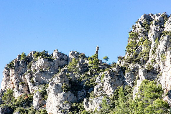La Souces des Orris à La Roquebrussanne