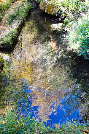 La Souces des Orris à La Roquebrussanne