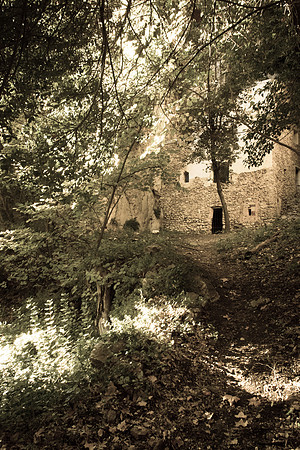 La Souces des Orris à La Roquebrussanne