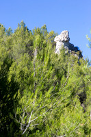Nature à La Roquebrussanne