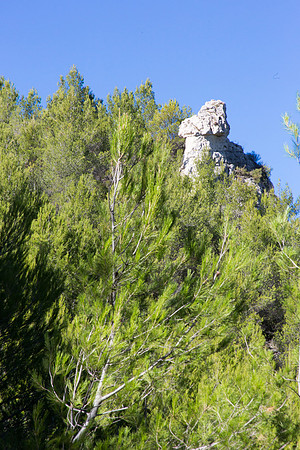 Nature à La Roquebrussanne