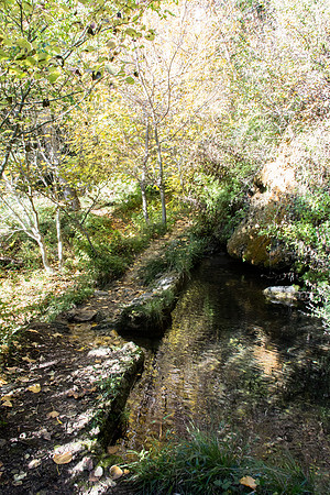 La Souces des Orris à La Roquebrussanne
